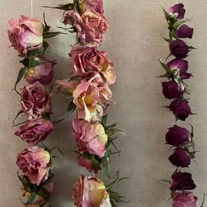 Dried Roses 🥀 Shabby Chic